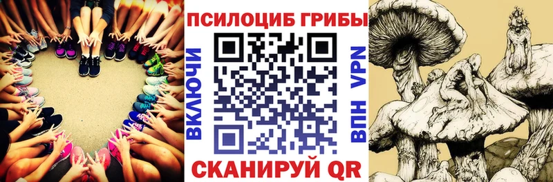 Галлюциногенные грибы GOLDEN TEACHER  Купить закладки  Семёнов 